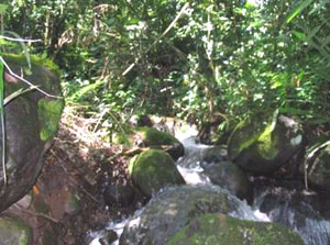 The stream at Quintanar.